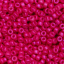 Tutti frutti pitahaya Tutti frutti pitahaya