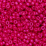 Tutti frutti pitahaya
