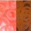 6,6/1,6 pružné kroužky - Barva: Růžová/svítí oranžově, Velikost balení: 50ks/bal